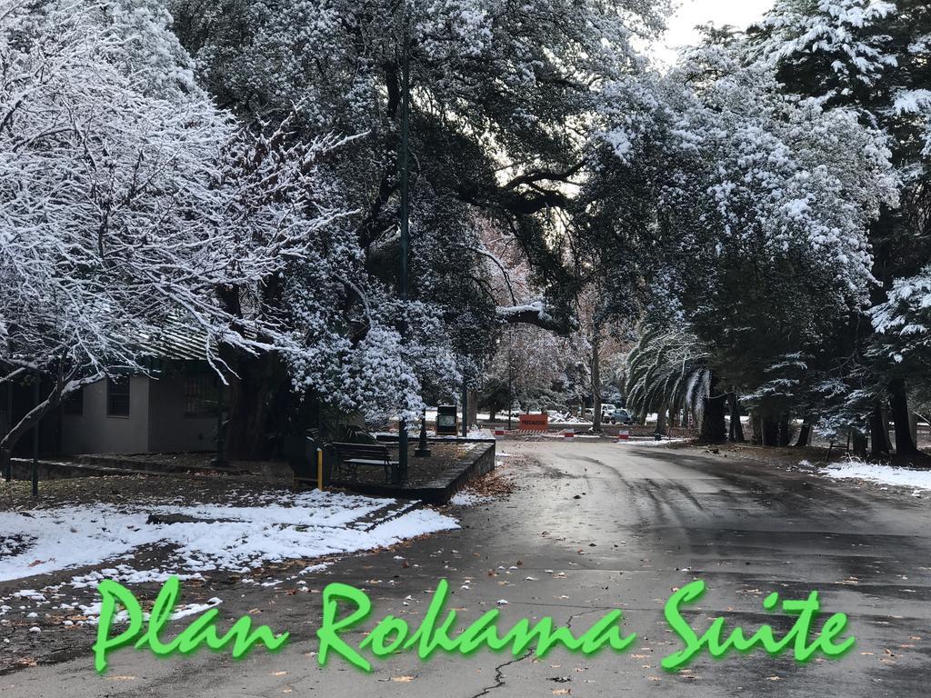 Plan Rokama Suite 586 Mendoza Kültér fotó